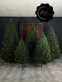 Home Prostor відгуки фото