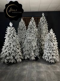 Home Prostor Вінниця фото