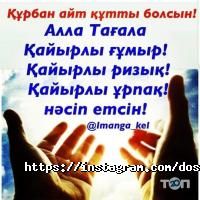 отзывы о Dosclean.kz фото
