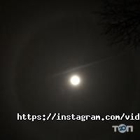 отзывы о Videofishka.kz фото