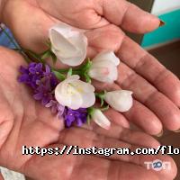 Art-house Дніпро фото