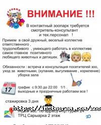 Страна Енотия, контактный зоопарк фото