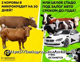 отзывы о Р-ФИНАНС фото
