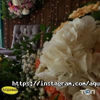 Акваріус Київ фото