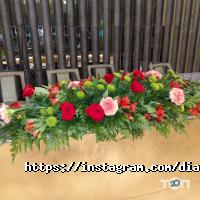Оформление зала, доставка цветов Dianthus фото