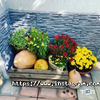 Південний дворик відгуки фото