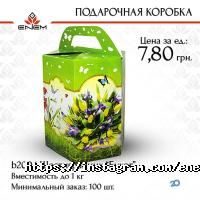 Енем Дніпро фото