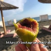 Вест Альянс, трудоустройство за границей фото