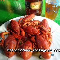 MasterTeam відгуки фото