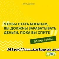 Кот group Сумы фото