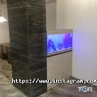 Южный, аквариумный центр фото