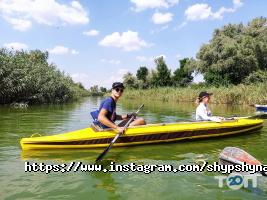 отзывы о Шипшина фото