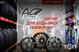 відгуки про Шипшина фото