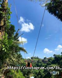 Салони краси The Lash&Brow room фото