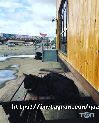 Кафе, бары Qazan Food фото