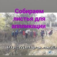 Государственные и частные детские сады Динушка фото