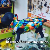 Абрикос відгуки фото