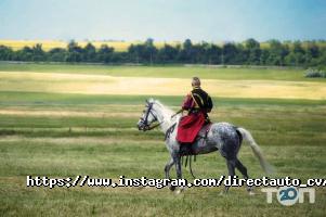 відгуки про Direct AUTO фото