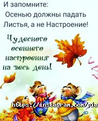 отзывы о Пиала фото