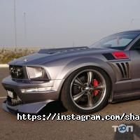 Shark tuning отзывы фото