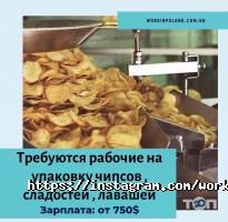 відгуки про Work in Poland фото