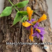 Курси, тренінги Art-house фото