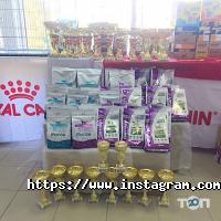 Дистриб'юторська фірма, зоотовари фото