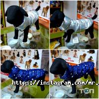 Зоомагазини і послуги для тварин Абрикос фото