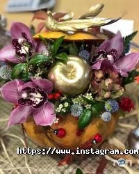 відгуки про Фотінія фото