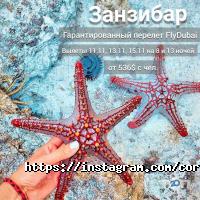 відгуки про Корум Вояж фото