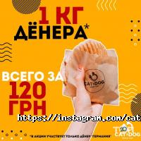 CAT&DOG Харків фото