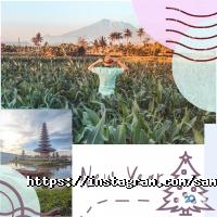 Самотур, туристична компанія фото