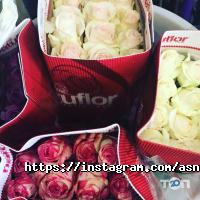 AsNur отзывы фото