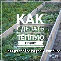 MarketSV відгуки фото