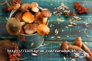 Євродім Харків фото