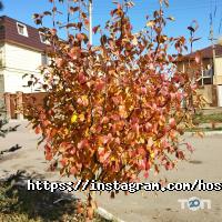 Гостиницы, хостелы Hostel house фото
