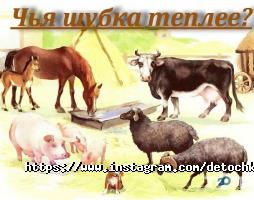 Detochki відгуки фото