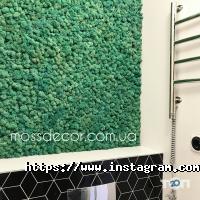Магазини квітів Moss Decor фото