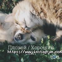 Up-Site Одеса фото