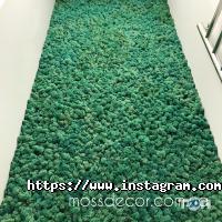 відгуки про Moss Decor фото