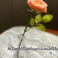 відгуки про Art-house фото