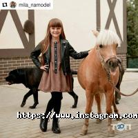 Тамерлан, конный клуб фото