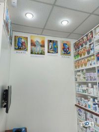 Шиншилка на Набережній / Шиншилка на Набережній Харків фото