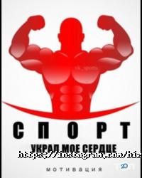 Фитнес центры Bizon фото