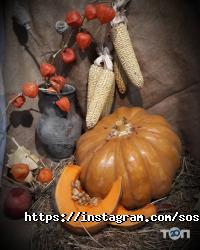 Художня студія Сосни відгуки фото