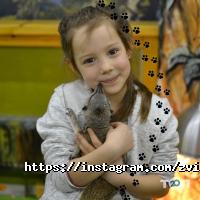 Звірополіс, контактний зоопарк фото