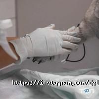 Ветеринарные клиники Diagnostic Group фото