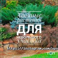 Все для сада и огорода Ugospodara фото