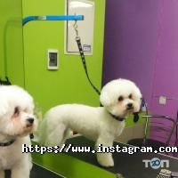 відгуки про VRGrooming фото