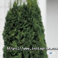 Allure, весільний салон фото